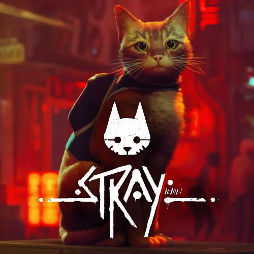 Stray