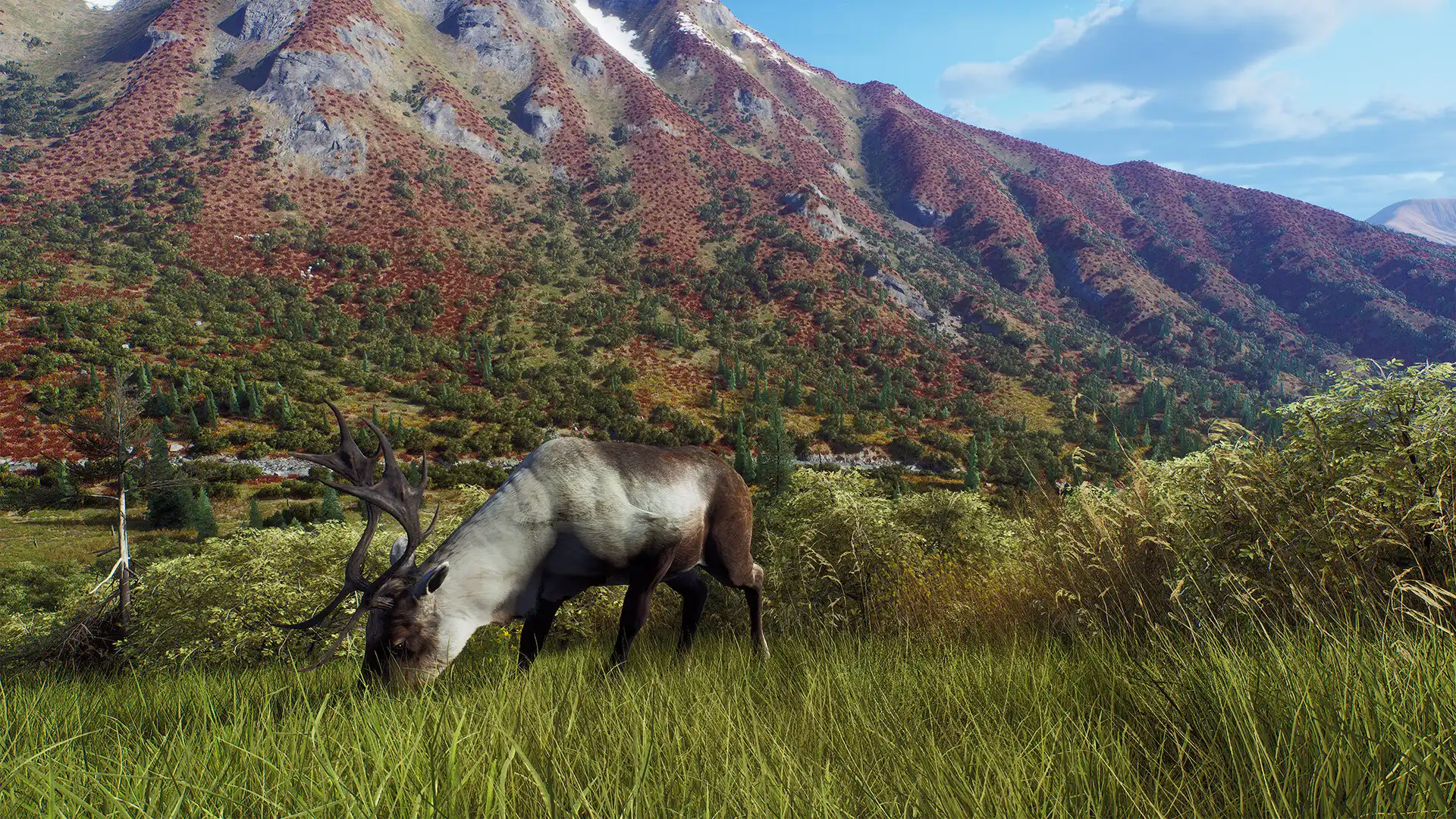 Way of the Hunter Aurora Shores