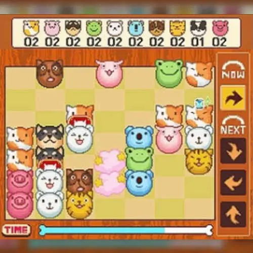 Animal Kororo
