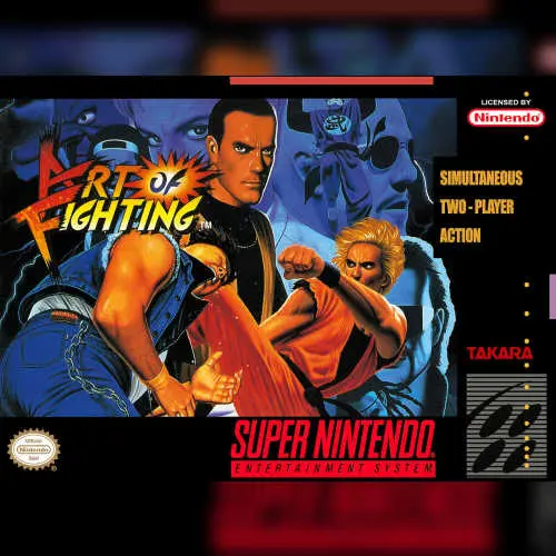 Art of Fighting