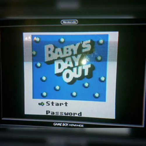 Baby's Day Out