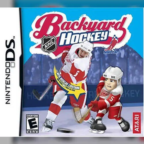Backyard Hockey