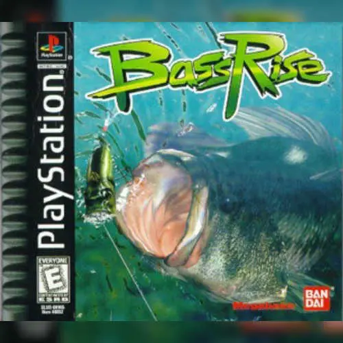 Bass Rise