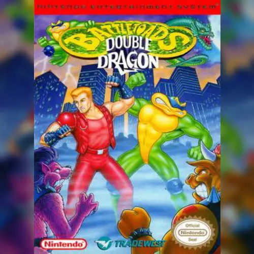Battletoads Double Dragon