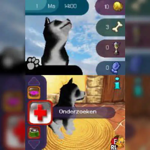 Best Friends - Mijn Honden en Katten