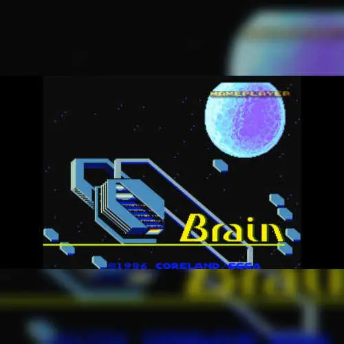 Brain