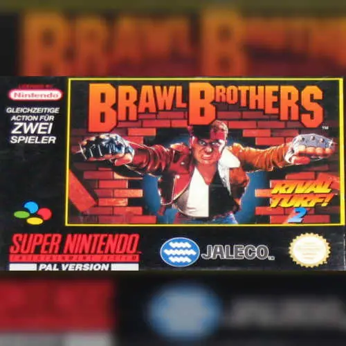 Brawl Brothers - Rival Turf! 2