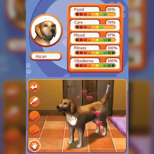 Dog Trainer