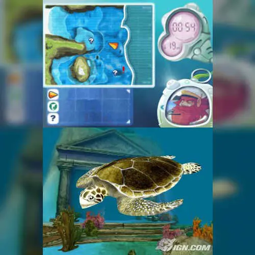 Dolphin Island