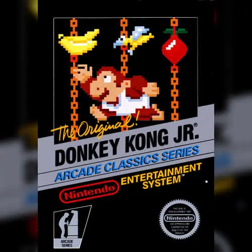 Donkey Kong Jr.
