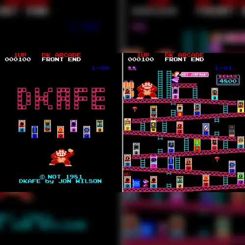 Donkey Kong Springs Trainer 2
