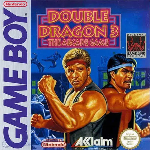 Double Dragon 3 - The Arcade Game