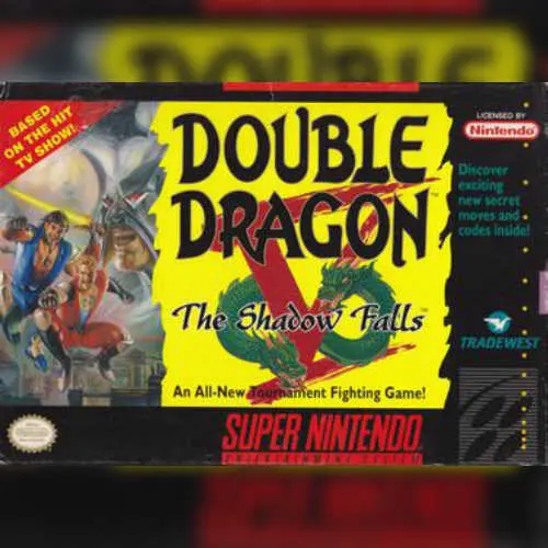 Double Dragon V - The Shadow Falls