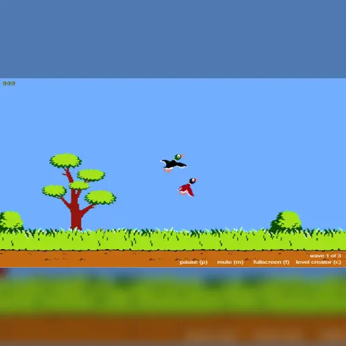 Duck Shoot