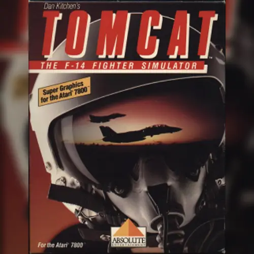 F-14 Tomcat Flight Simulator