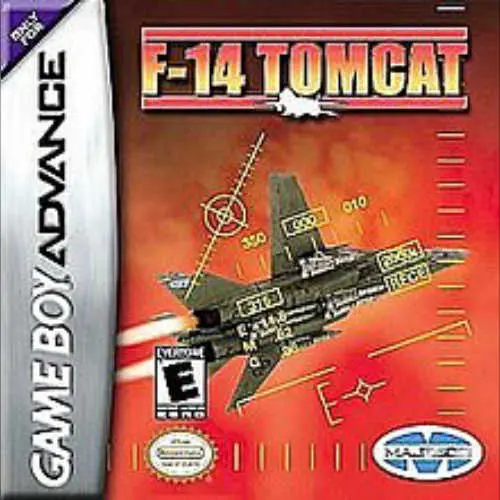 F-14 Tomcat