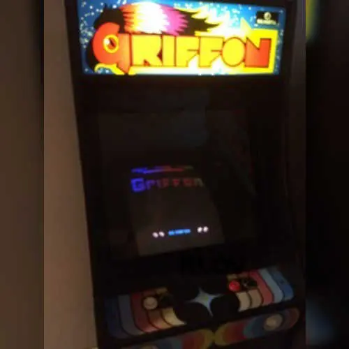Griffon