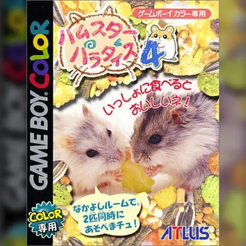 Hamster Paradise 4