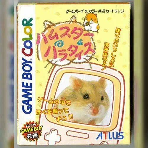 Hamster Paradise