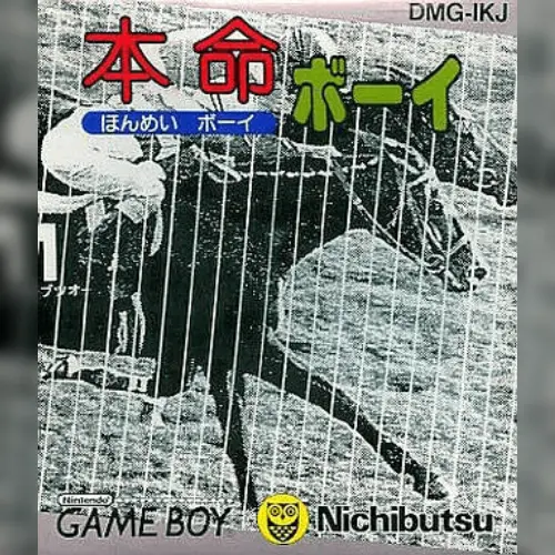 Honmei Boy