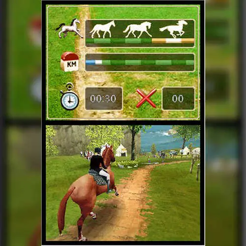 Horse Life