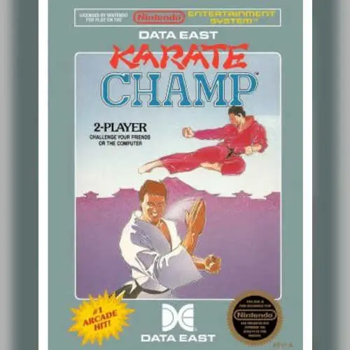 Karate Champ