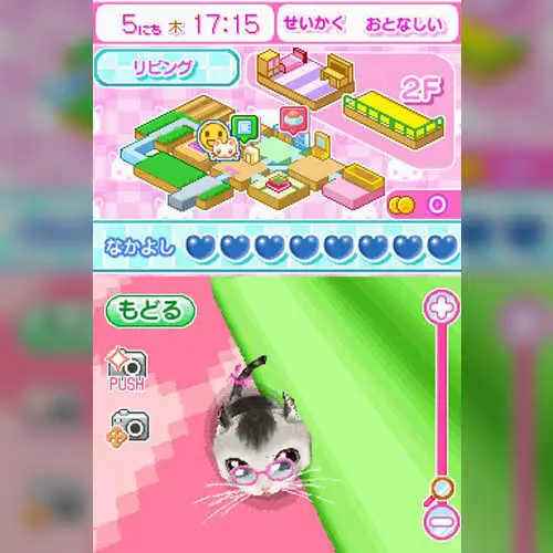 Kawaii Koneko DS 2
