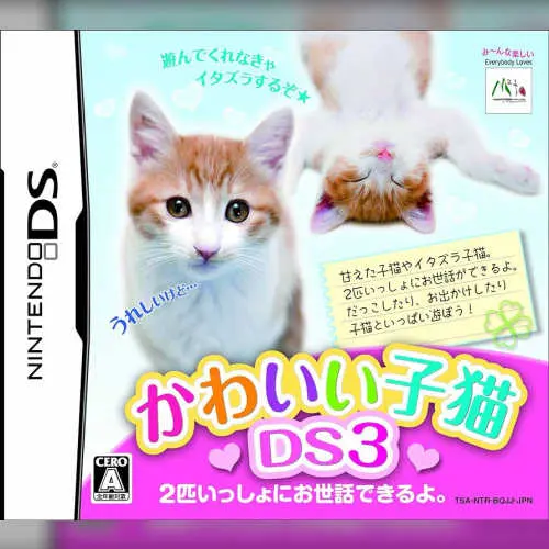 Kawaii Koneko DS 3