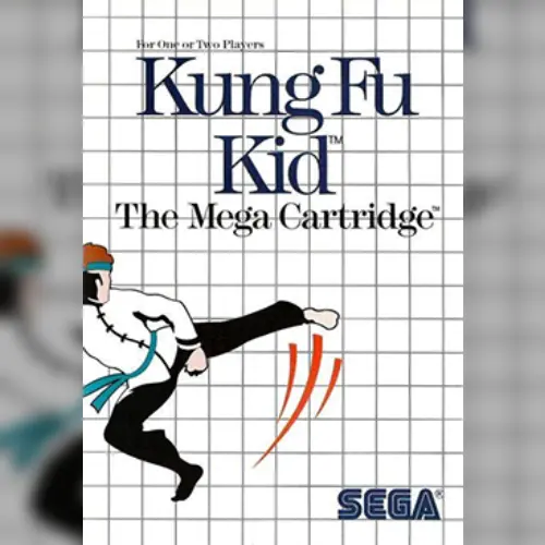 Kung Fu Kid