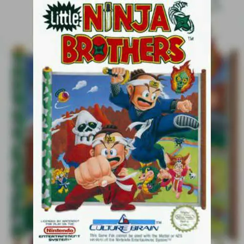 Little Ninja Brothers