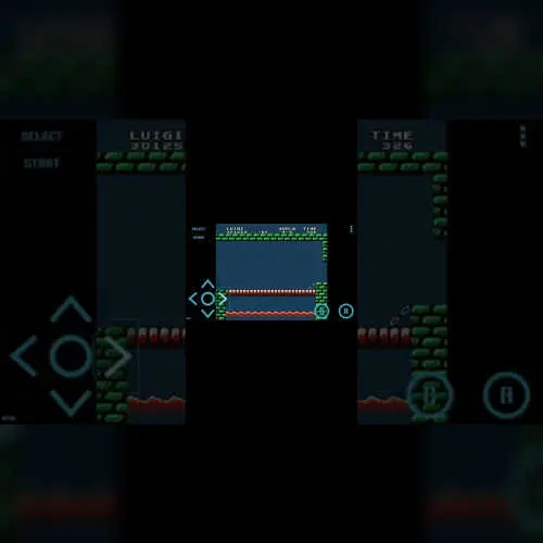 Luigi Bros V0.4