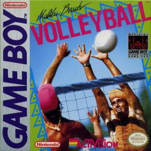Malibu Beach Volleyball