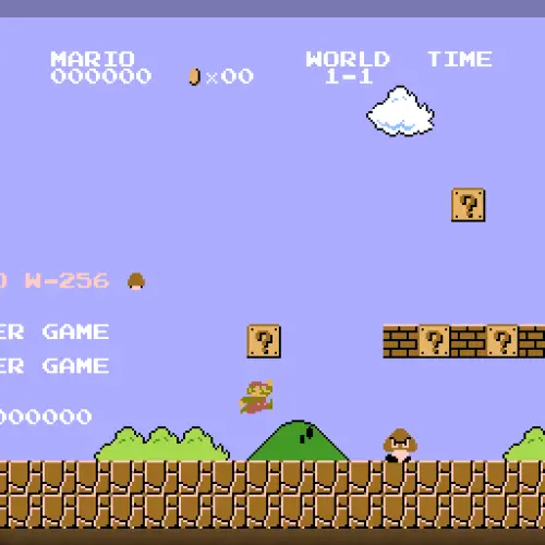 Mario W-256