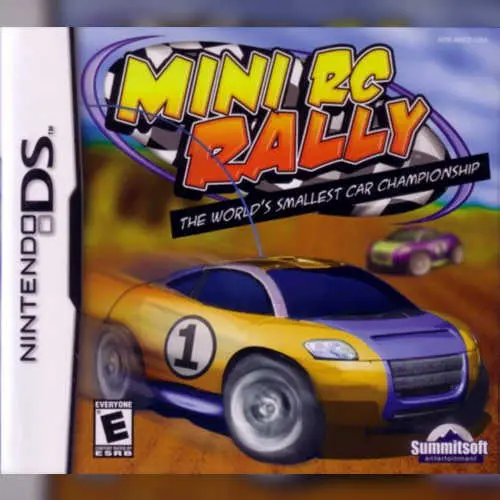 Mini RC Rally