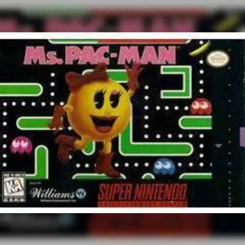 Ms. Pac-Man