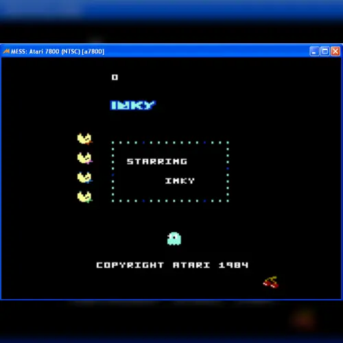 Ms Pac-Man Twin