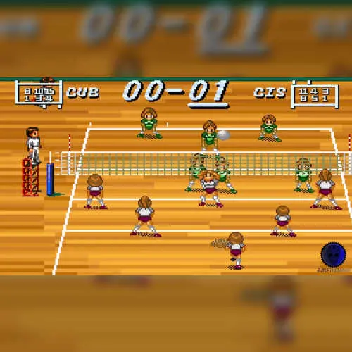 Multi Play Volleyball