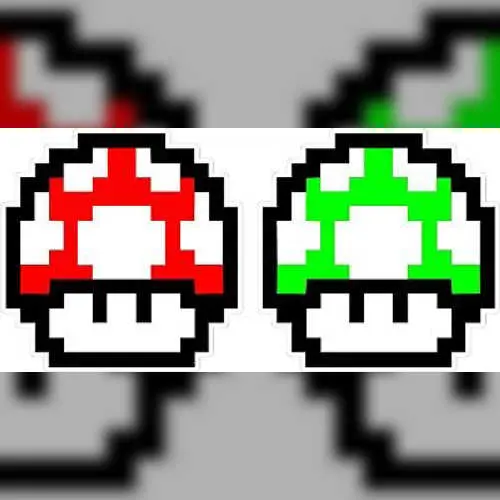 Mushroom Bros