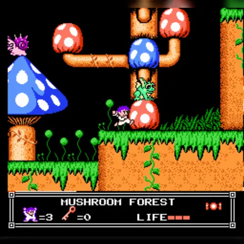 Mushroom Dreams