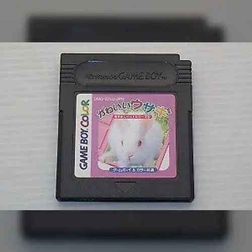 Nakayoshi Pet Series 2 - Kawaii Usagi