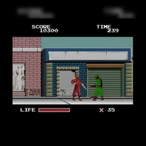 Ninja Warriors, The