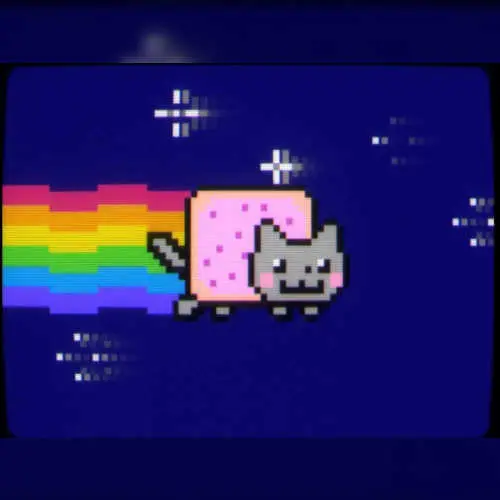 NYAN7800