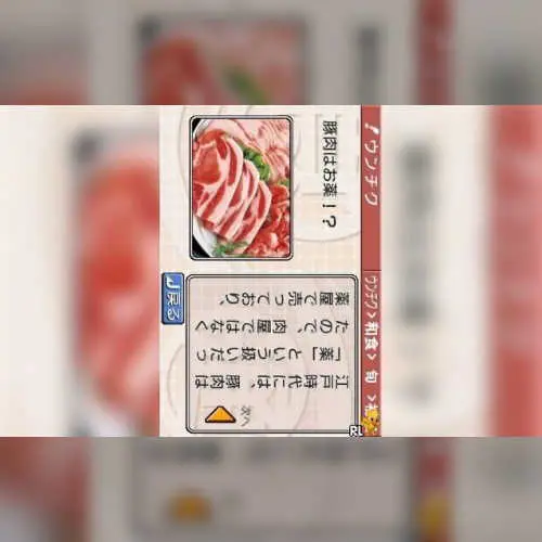 Oishiku Kiwameru Shokutsuu DS - Otona no Shuumatsu Henshuubu Gensen no Osusume Omise Jouhou Iri