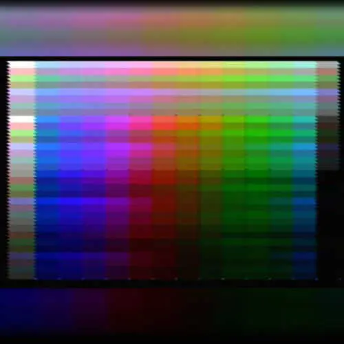 Palette Test by Loopy