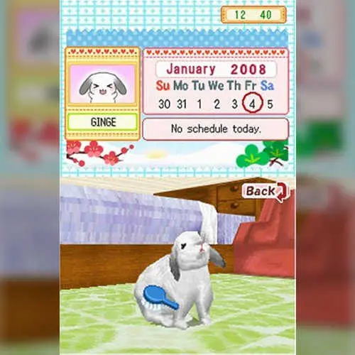 Petz - Bunnyz