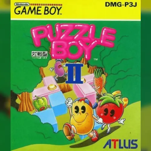 Puzzle Boy II