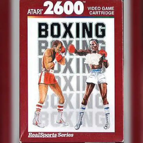 RealSports Boxing