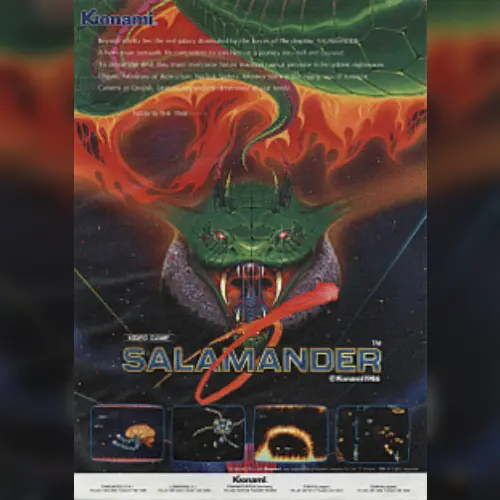 Salamander