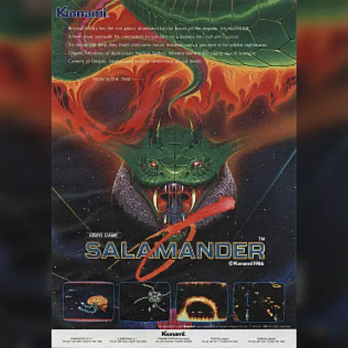 Salamander