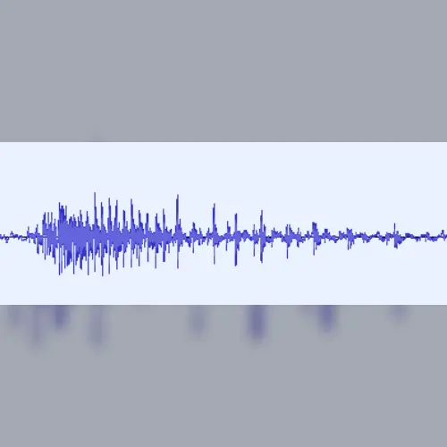 Sampled Sound Test